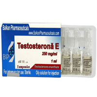 Buy Testosterona-E - CS Balkan Pharmaceuticals Ltd. (Moldova)