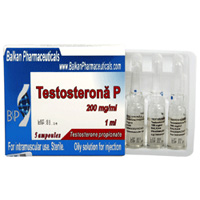Buy Testosterona-P - CS Balkan Pharmaceuticals Ltd. (Moldova)
